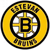 Estevan_Bruins_logo.svg.png